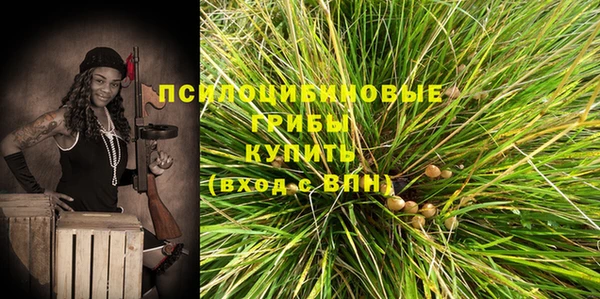 а пвп мука Бугульма