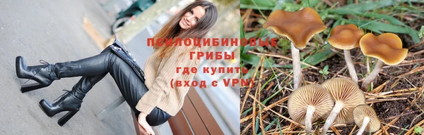 трава Бронницы