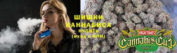 трава Бронницы