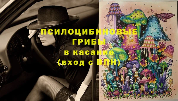 а пвп мука Бугульма
