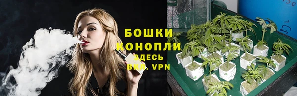 трава Бронницы