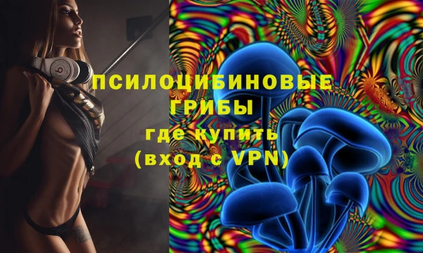 MESCALINE Бородино